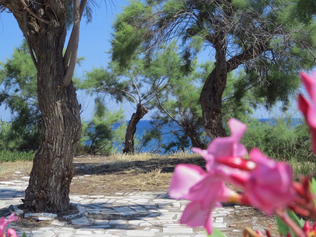 Loukas Beach Rooms Kiotari Exteriér fotografie